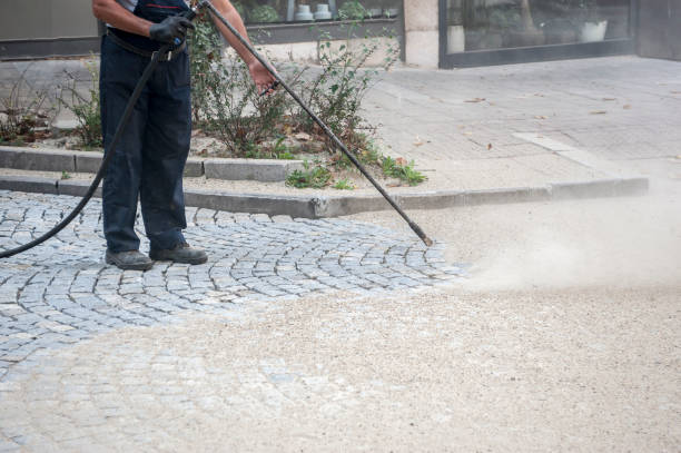 Best Gas Station Cleaning  in Lake Crystal, MN