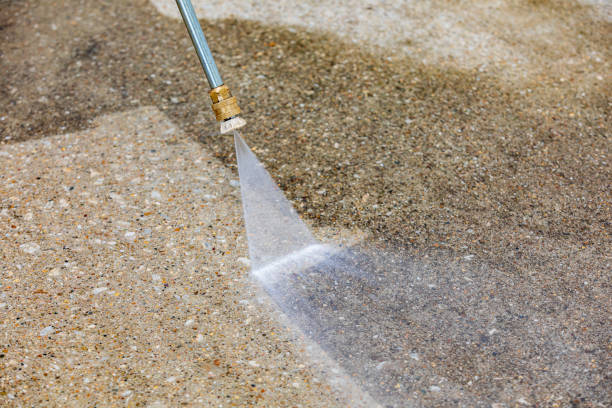 Best Dumpster Area Cleaning  in Lake Crystal, MN